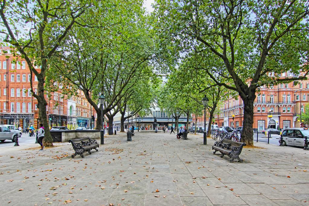 Lifestyle - Chelsea Londra